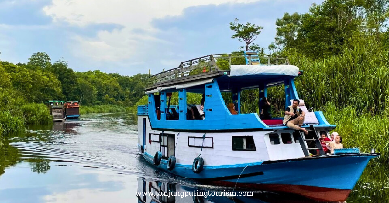 Wisata Alam Menyelusuri Sungai Sekonyer – Taman Nasional Tanjung Puting