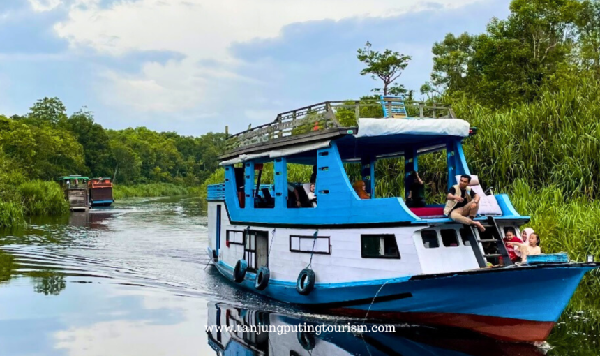 Wisata Alam Menyelusuri Sungai Sekonyer – Taman Nasional Tanjung Puting