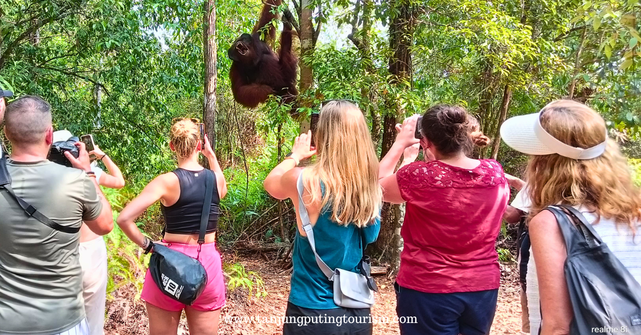 Pengalaman Rekreasi Dayak dan Orangutan Kalimantan 6D5N