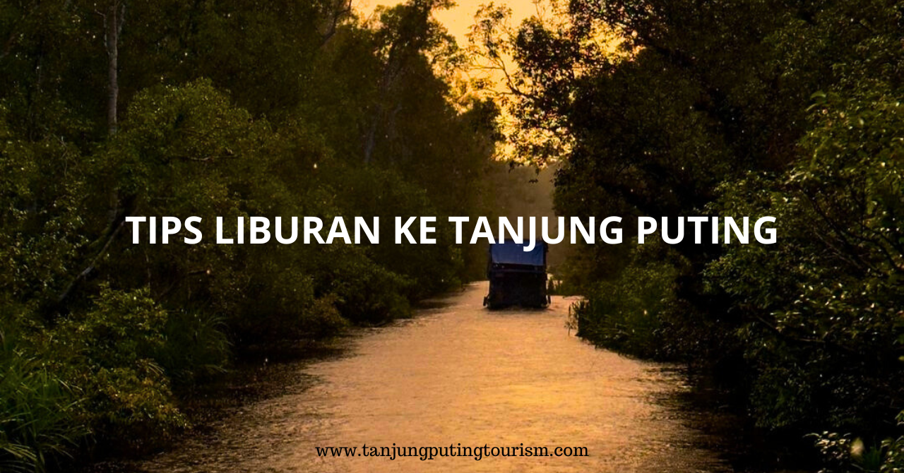 Tips Liburan ke Taman Nasional Tanjung Puting