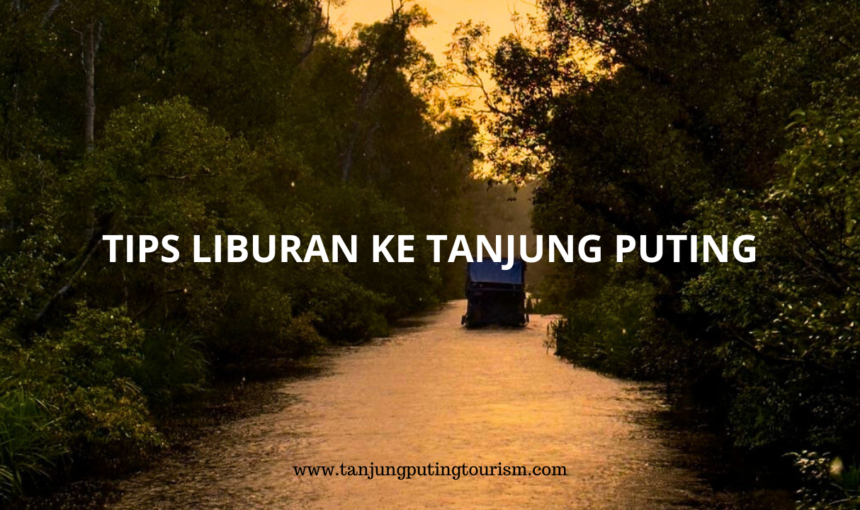 Tips Liburan ke Taman Nasional Tanjung Puting