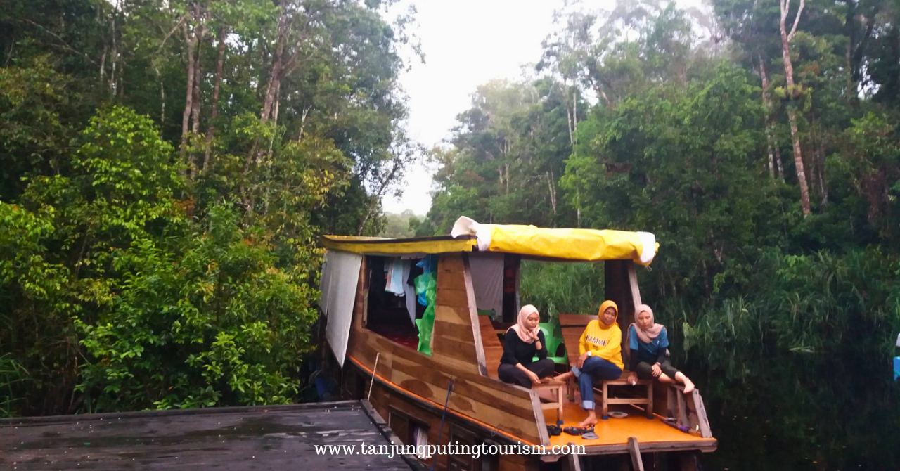 Rencana Perjalanan Trip 3 Hari 2 Malam di Taman Nasional Tanjung Puting