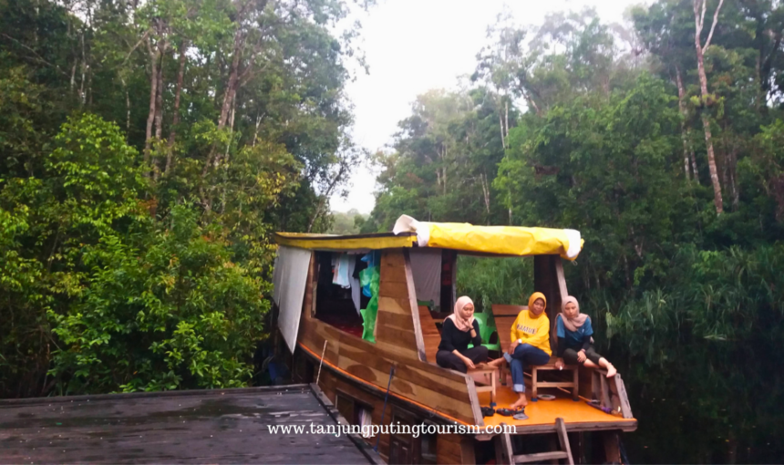 Rencana Perjalanan Trip 3 Hari 2 Malam di Taman Nasional Tanjung Puting