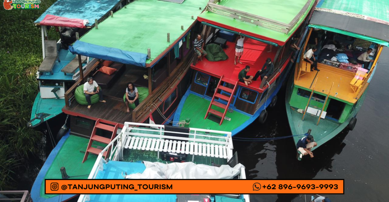 Paket Wisata Murah Tanjung Puting – Kalimantan Tengah